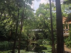 -广州兰圃