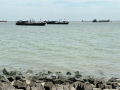 -上海滨江森林公园