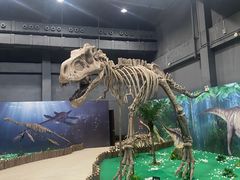 -中华赏石园