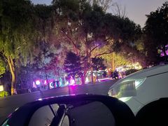 -枫花园汽车电影院(朝阳公园店)