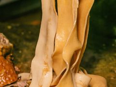 -乌文新澄海卤鹅店