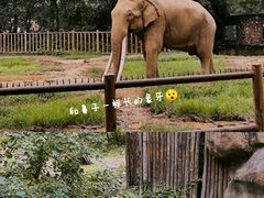 -南昌动物园