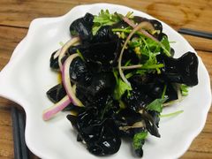 -道南書院·私房菜·早午茶·茶馆