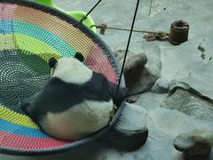 -青藏高原野生动物园