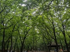 -沈阳市东陵公园