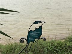 -美的鹭湖森林度假区