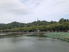 -湖畔居茶楼(湖滨店)