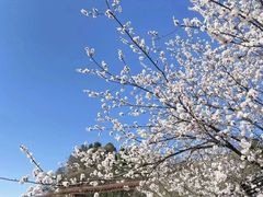 -少华山国家森林公园