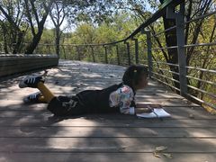 -西湖风景区-江洋畈生态公园