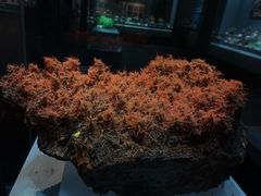 -湖南省地质博物馆