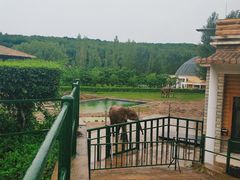 -哈尔滨北方森林动物园