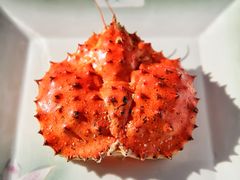 -蟹后Crabber(水悦城店)