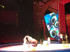 -珠海横琴长隆《卡卡虎奇遇记》