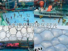-水立方嬉水乐园