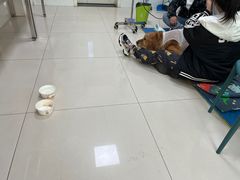 -派美特宠物医院·核磁CT·骨科肿瘤·疑难转诊(沈农禾丰店)