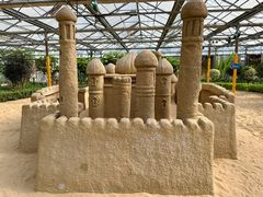 -南宫五洲植物乐园