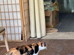 -谷咖啡·鲜花绿植花园餐厅