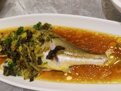 雪菜蒸深海大黄鱼-老绍兴养和饭店(向阳不夜城店)