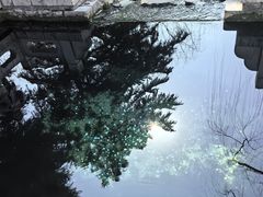 -趵突泉景区