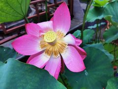 -湘子庙