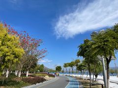 -西昌邛海湾柏樾酒店(原邛海湾柏栎度假酒店)