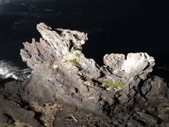-龙头岩(Dragon Head Rock)