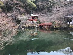-醍醐寺