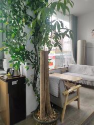 -痘院长·祛痘·科技美肤