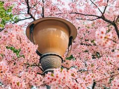 -上海辰山植物园