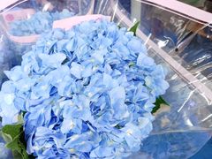 -循礼门鲜花花市(武汉循礼门店)