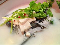 -宝荣鱼馆·临湖之宴(千岛湖店)
