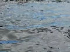 -浪琴湾度假村