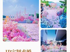 -东莞市大岭山森林公园