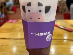 -一只酸奶牛(春熙路店)