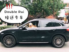 店内接送车-Double Rui宠物酒店