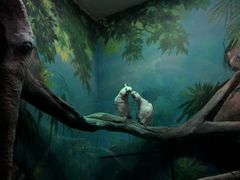 -福州罗源湾海洋世界旅游区