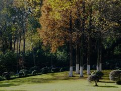 -上海市保健医疗中心