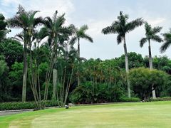 -棕榈泉国际高尔夫学院