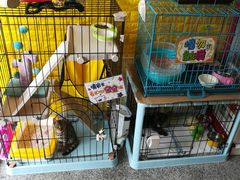 -喵汪萌宠屋旗舰店.洗澡美容.猫狗基地