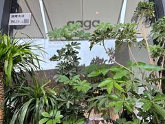 -gaga(深圳南山益田假日广场店)