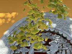 -龙华素斋(龙华路店)