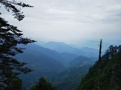 -瓦屋山景区