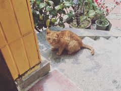 -厦门市思明区第柒天旅馆