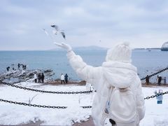 -栈桥景区