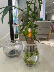 点击看大图 -菲·木田moontin造型salon