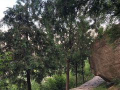 -北京凤凰岭