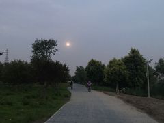 -永定河休闲森林公园