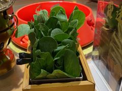 -卢大鲜鱼头捞饭(美利广场店)