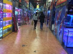 -大自然花鸟鱼虫市场