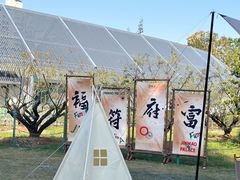 -大宁公园